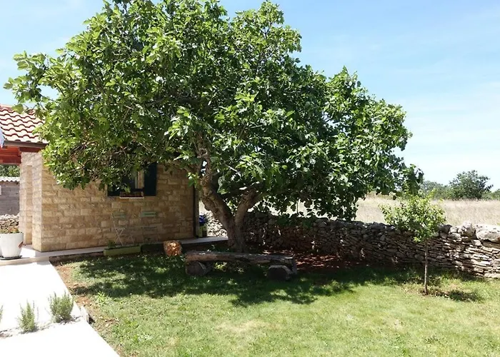 In Zadar With Sea View, Balcony, Air Conditioning, Wifi 3796-8