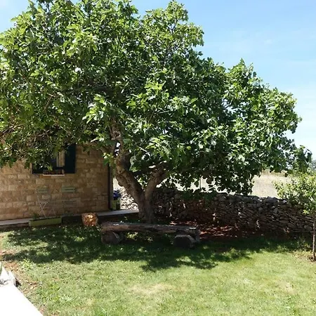 In Zadar With Sea View, Balcony, Air Conditioning, Wifi 3796-8